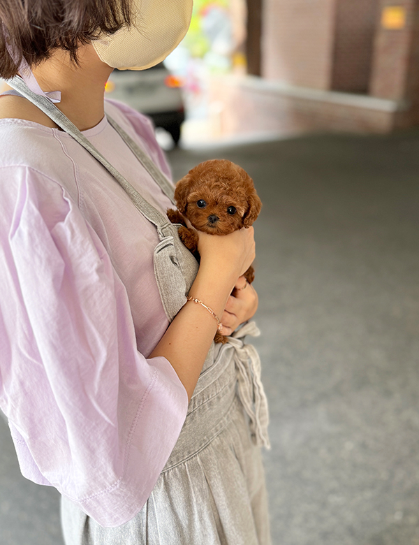 강아지 썸네일