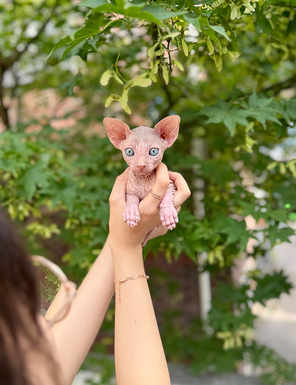 강아지 썸네일